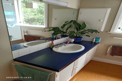 Photo of property in 49 Joblins Road, Levin, 5571