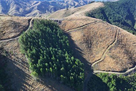 Photo of property in 49 Te Moana Road, Waikanae Beach, Waikanae, 5036