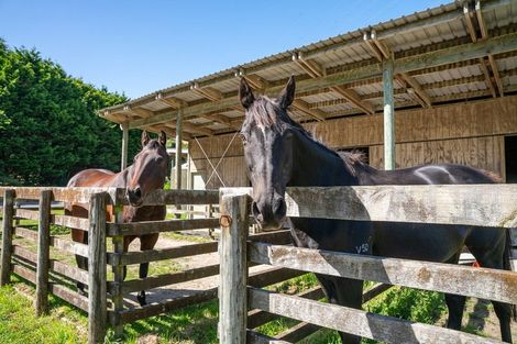 Photo of property in 781 Ohariu Valley Road, Ohariu, Wellington, 6037