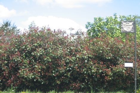 Photo of property in 7a Bay Road, Oxford, 7430