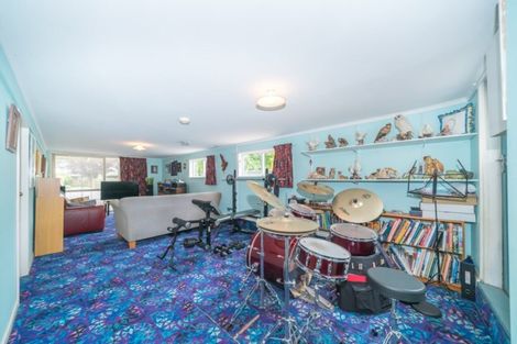 Photo of property in 446 Ruahine Street, Terrace End, Palmerston North, 4410