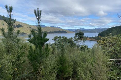 Photo of property in 474 Cissy Bay Road, Cissy Bay, French Pass, 7193