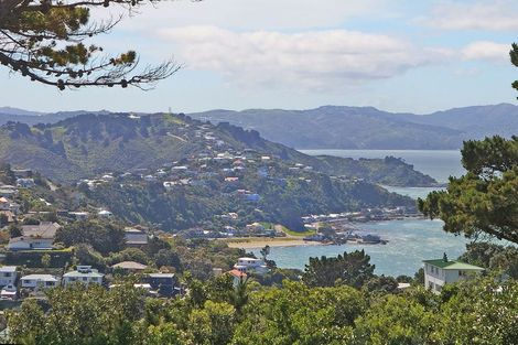 Photo of property in 80 Beacon Hill Road, Strathmore Park, Wellington, 6022