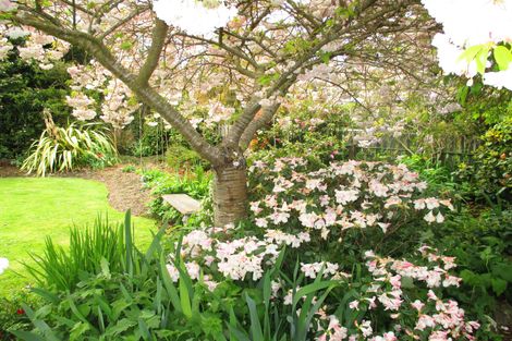 Photo of property in 8 Fergusson Street, Geraldine, 7930