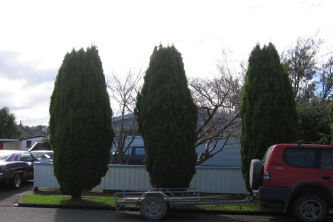 Photo of property in 45 Wavell Crescent, Lansdowne, Masterton, 5810