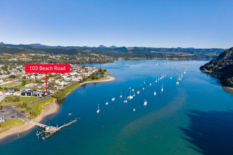 Photo of property in 103 Beach Road, Whangamata, 3620