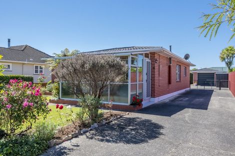 Photo of property in 19 Saint Annes Street, Levin, 5510
