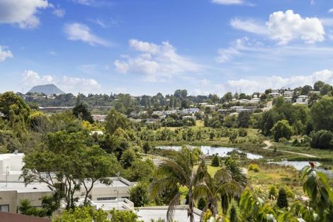 Photo of property in 98 Coopers Road, Gate Pa, Tauranga, 3112