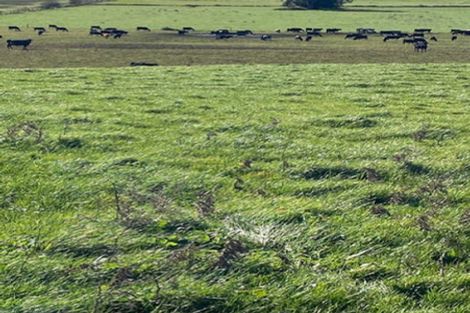 Photo of property in 89 Robertson Road, Whatawhata, Hamilton, 3289