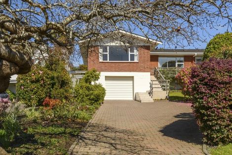 Photo of property in 28 Harvey Street, Tauranga South, Tauranga, 3112