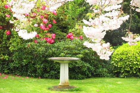 Photo of property in 8 Fergusson Street, Geraldine, 7930