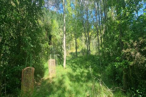 Photo of property in 143 Wallace Loop Road, Koputaroa, Shannon, 5571