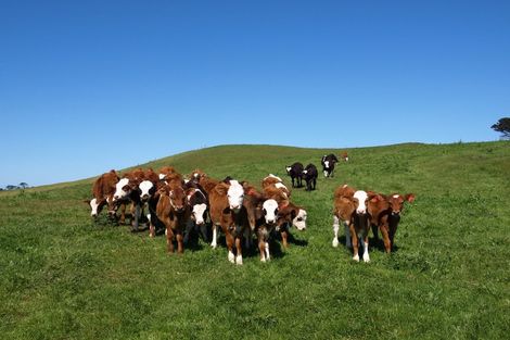 Photo of property in 247 Kaihau Road, Karioitahi, Waiuku, 2683