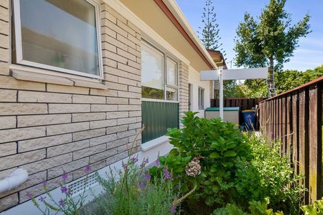 Photo of property in 1/5 Jenelin Road, Glendene, Auckland, 0602