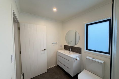 Photo of property in 19a Wellington Street, Feilding, 4702