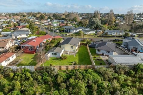 Photo of property in 24 Frederick Drive, Dinsdale, Hamilton, 3204