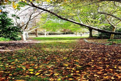 Photo of property in 1437 Pohangina Road, Pohangina, Ashhurst, 4884