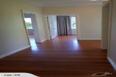 Photo of property in 39 Randwick Road, Northland, Wellington, 6012