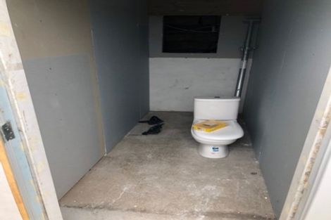 Photo of property in 61 Tuarangi Road, Grey Lynn, Auckland, 1021