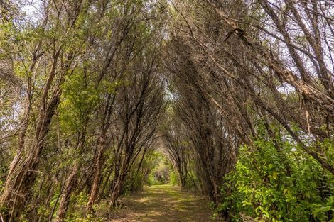 Photo of property in 123 Pumpkin Hill Road, Pumpkin Hill, Whitianga, 3591