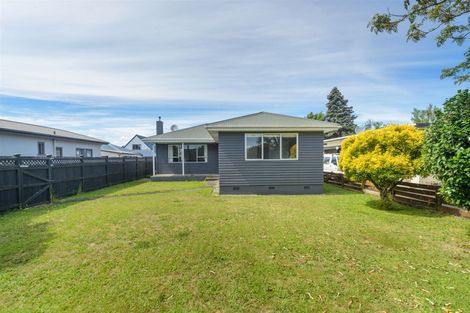 Photo of property in 42 Manson Street, Terrace End, Palmerston North, 4410
