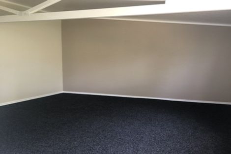 Photo of property in 22 Balloch Street, Fairfield, Hamilton, 3214