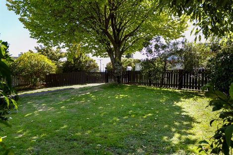 Photo of property in 117 Taupo View Road, Taupo, 3330