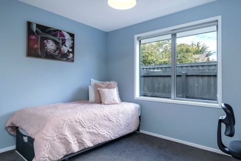 Photo of property in 84a Alma Street, Renwick, 7204