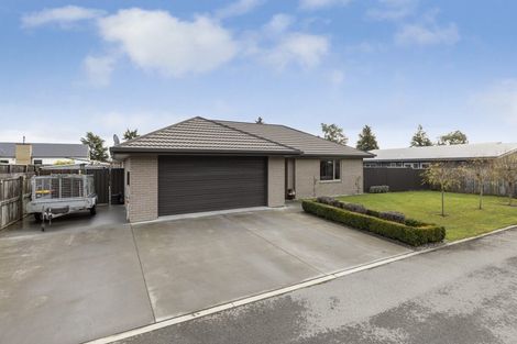 Photo of property in 7 Payne Place, Witherlea, Blenheim, 7201