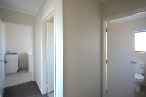 Photo of property in 8a Lincoln Terrace, Gate Pa, Tauranga, 3112