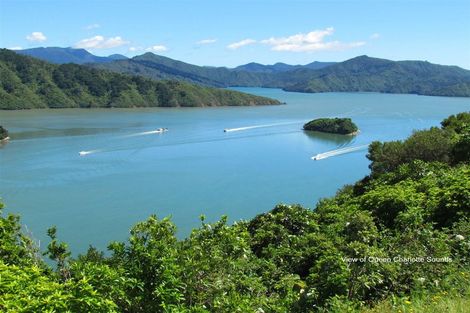 Photo of property in 31 Nikau Drive, Redwoodtown, Blenheim, 7201