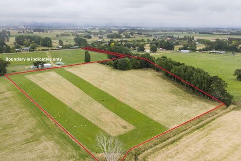 Photo of property in 394 Kairanga Bunnythorpe Road, Bunnythorpe, Palmerston North, 4478