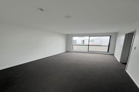 Photo of property in 1/195 Massey Street, Frankton, Hamilton, 3204