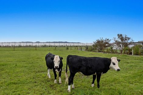 Photo of property in 493 Grieve Road, Te Teko, Whakatane, 3193