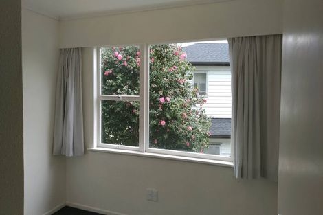 Photo of property in 19 Orion Place, Hillcrest, Auckland, 0627
