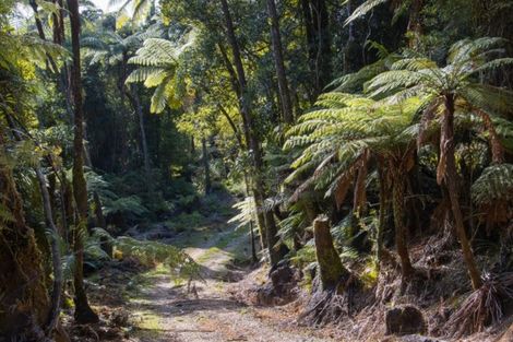 Photo of property in 1046 Work Road, Whakamarama, 3181