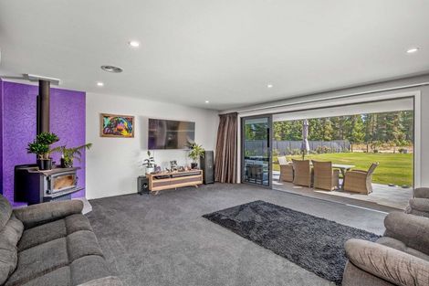 Photo of property in 45 Larch Crescent, Alexandra, 9320