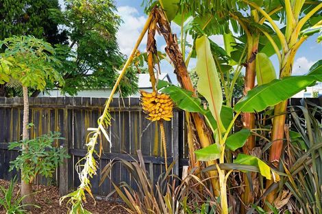 Photo of property in 41 Wairau Avenue, Avondale, Auckland, 1026