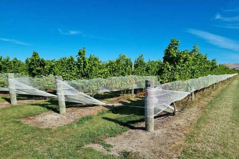 Photo of property in 344 Jones Road, Grovetown, Blenheim, 7273