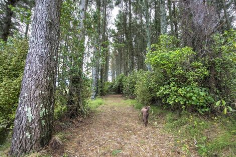 Photo of property in 325 Kaipi Road, Hillsborough, New Plymouth, 4372