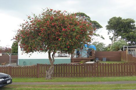 Photo of property in 41 John Walker Drive, Manurewa, Auckland, 2102