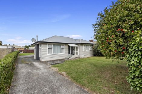 Photo of property in 100 Clarkin Road, Fairfield, Hamilton, 3214
