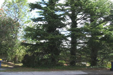 Photo of property in 32 Coroglen Avenue, Birkenhead, Auckland, 0626