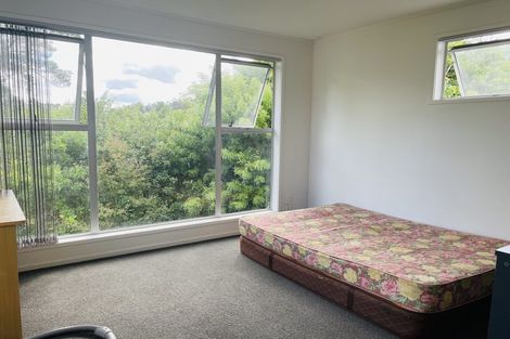 Photo of property in 117 Riverpark Crescent, Henderson, Auckland, 0610