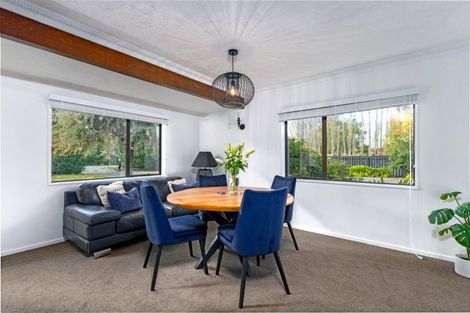 Photo of property in 86 Johnstone Street, Tinwald, Ashburton, 7774