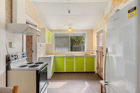 Photo of property in 54 Miro Street, Takaro, Palmerston North, 4410