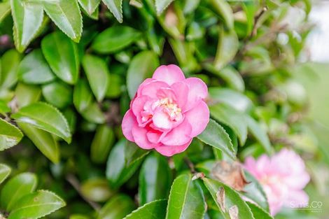 Photo of property in 38 Tinirau Street, Whanganui East, Wanganui, 4500