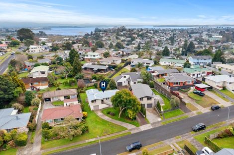 Photo of property in 19 Regent Street, Brookfield, Tauranga, 3110