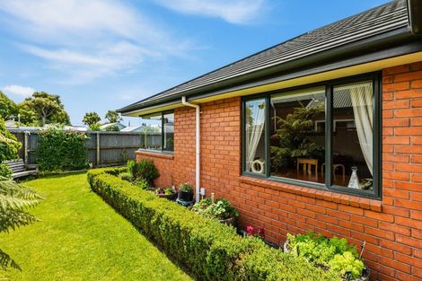 Photo of property in 184a Selwyn Street, Spreydon, Christchurch, 8024