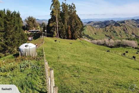 Photo of property in 1875 Kanakanaia Road, Whatatutu, Te Karaka, 4091